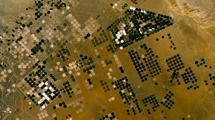 Landwirtschaft in der Wüste von Saudiarabien.